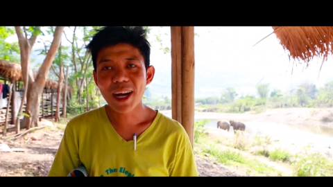 Thailandia Preview